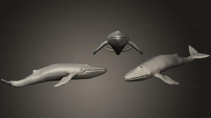 Animal figurines (Blue Whale 01, STKJ_0760) 3D models for cnc